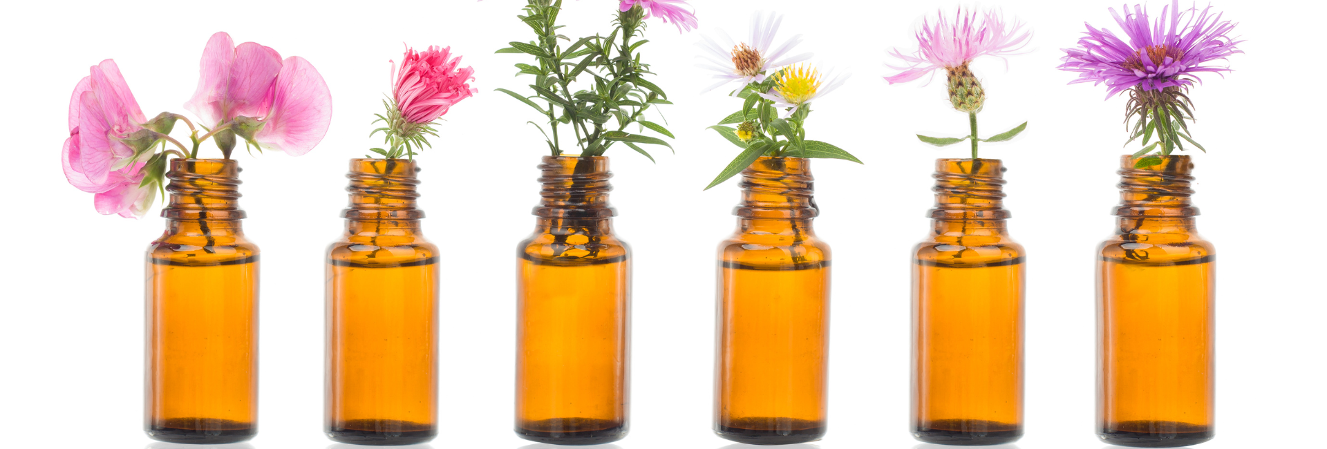 CURSO DE FLORAIS DE BACH