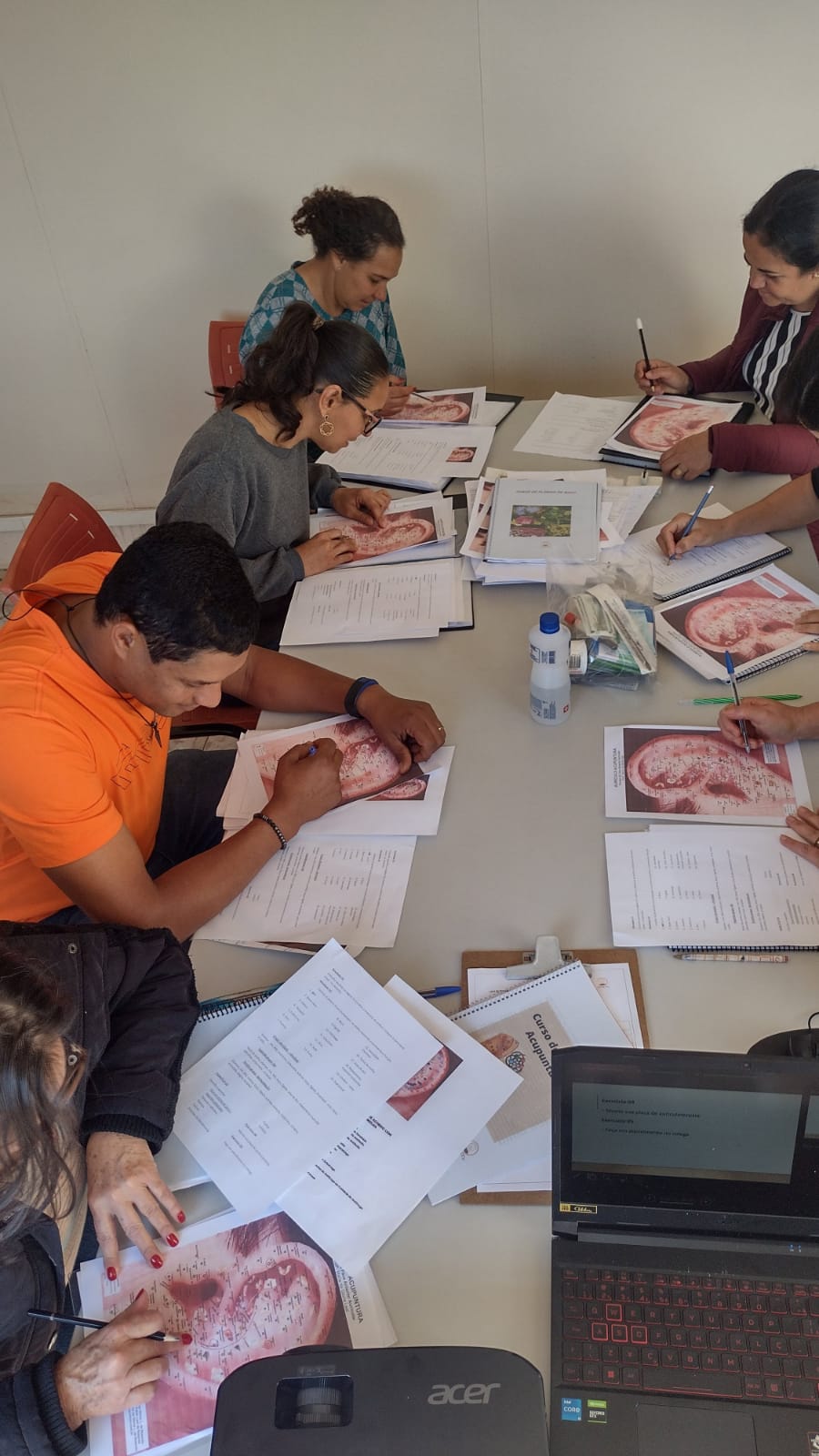 Curso de Auriculoacupuntura