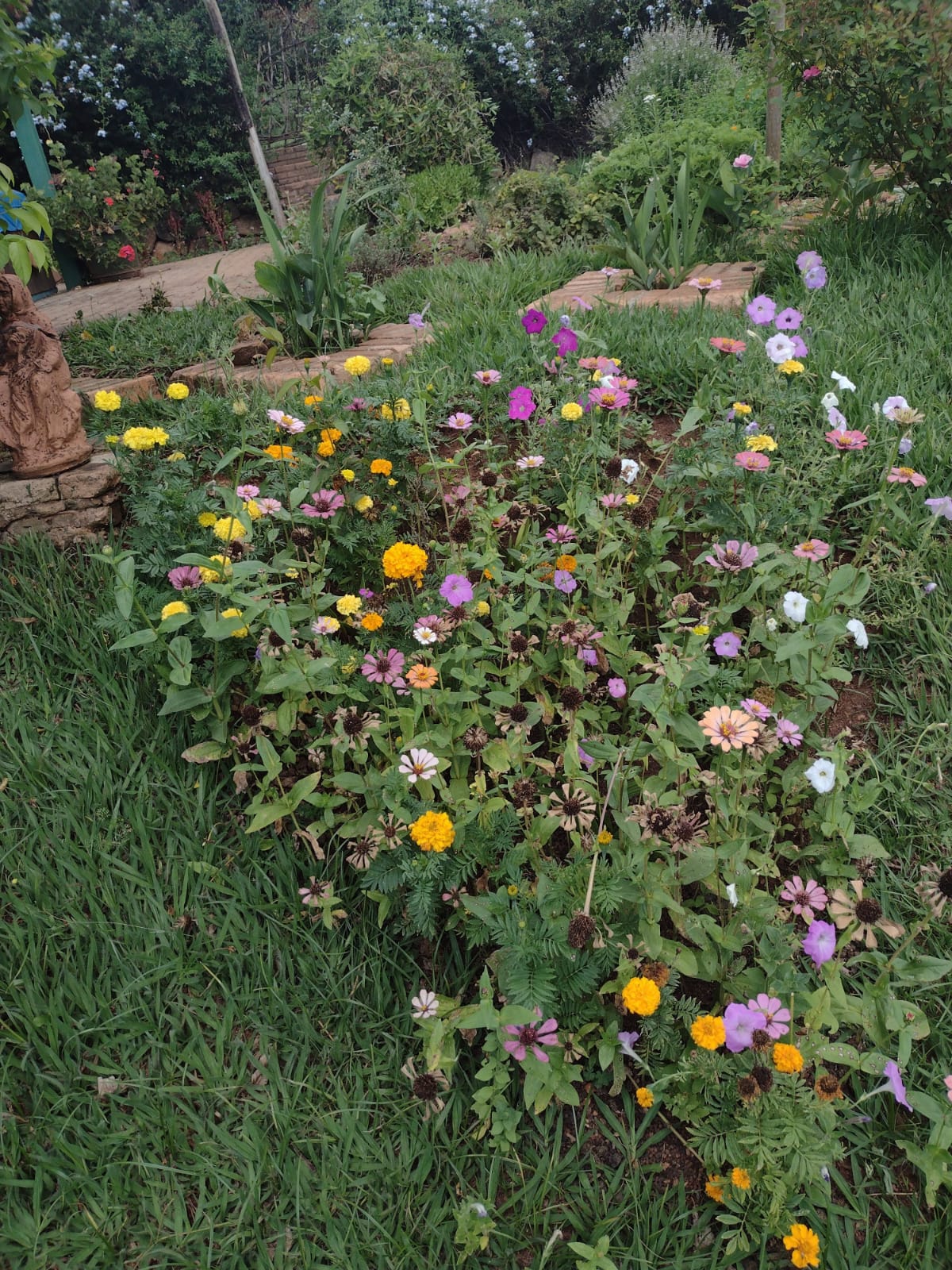 Curso de Homeopatia para a Terra: Cultivando com Consciência