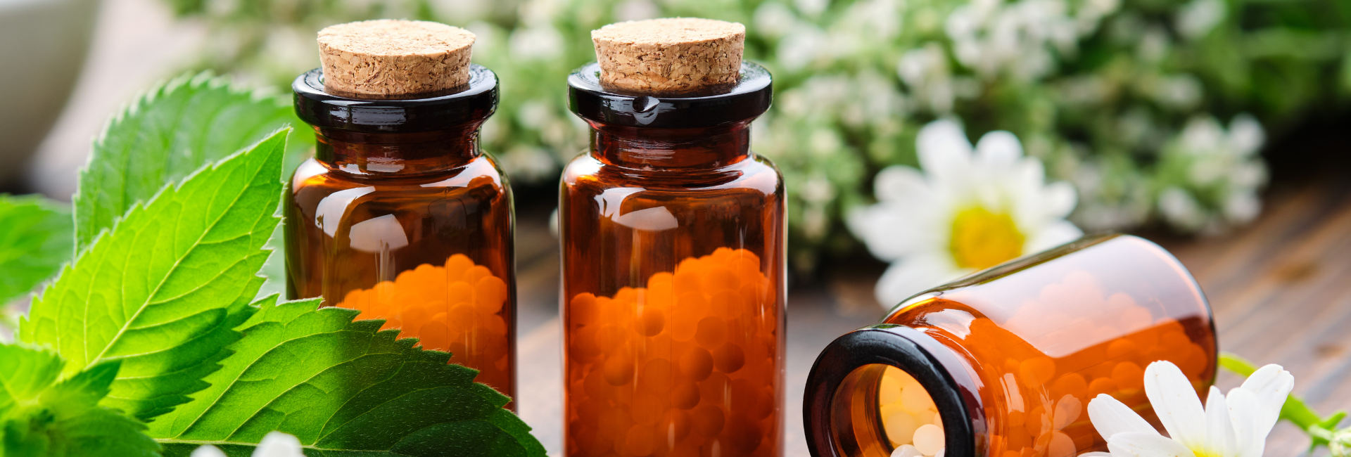 Curso Básico de Homeopatia